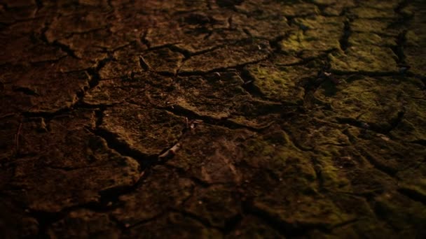 干裂的裂的山土壤 — 图库视频影像