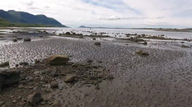 Norveç Fiyordu sahil yanındaki kuş ile plaj üzerinde uçan uçak