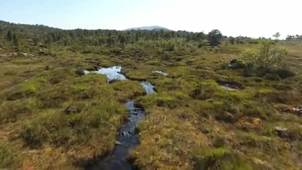 Pântano Lago Tundra Partir Vista Aérea Drone — Vídeo de Stock