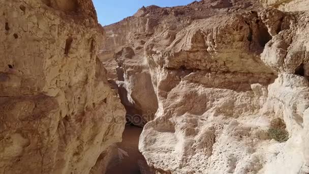 Drone Volando Través Del Cañón Del Desierto Israel — Vídeos de Stock