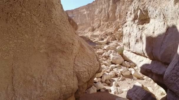 Беспилотник Летящий Через Пустынный Каньон Израиля — стоковое видео