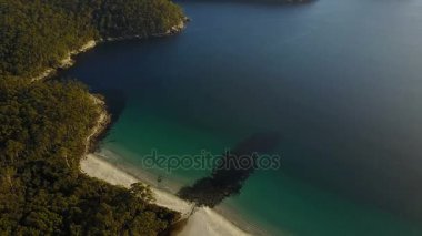 Rainforest dron denizden tarafından