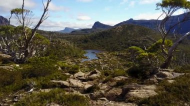 Ağaçlar dağ gölü doğru üzerinden uçan uçak