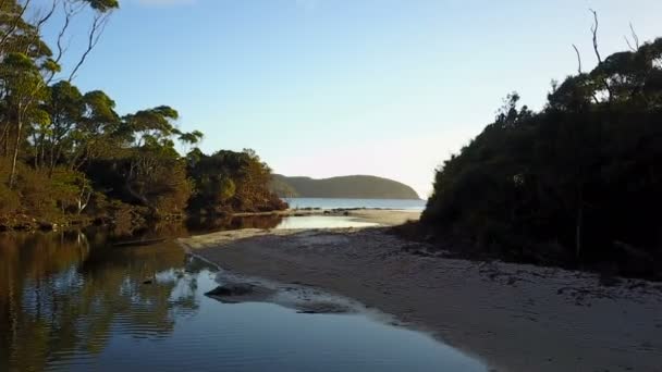 Drone Voando Sobre Lagoa Com Floresta Mar Fundo — Vídeo de Stock