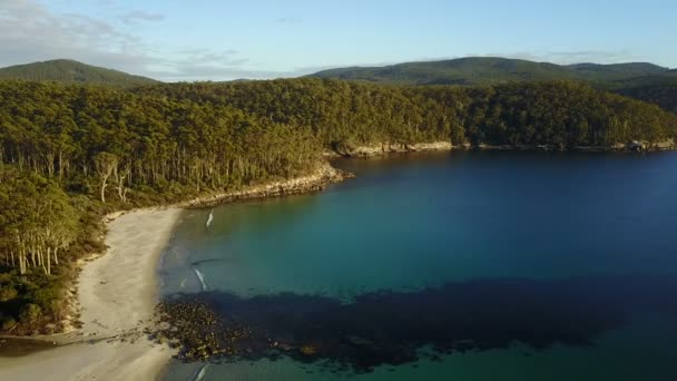 Floresta Tropical Junto Mar Partir Drone — Vídeo de Stock