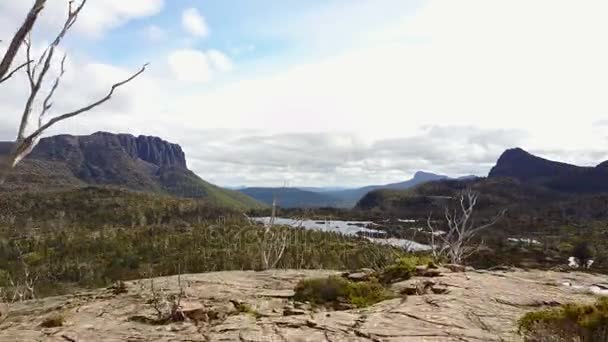 Drohne Fliegt Durch Bäume Richtung Bergsee — Stockvideo