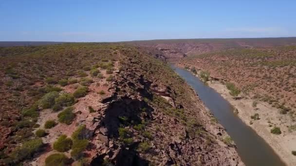 Letecký Pohled Kaňon Řeka Australian Outback — Stock video