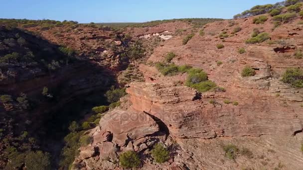 Erosion Och Rock Formation Canyon — Stockvideo