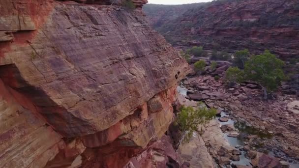 Légi Felvétel Kanyon Ausztrál Outback Folyó — Stock videók