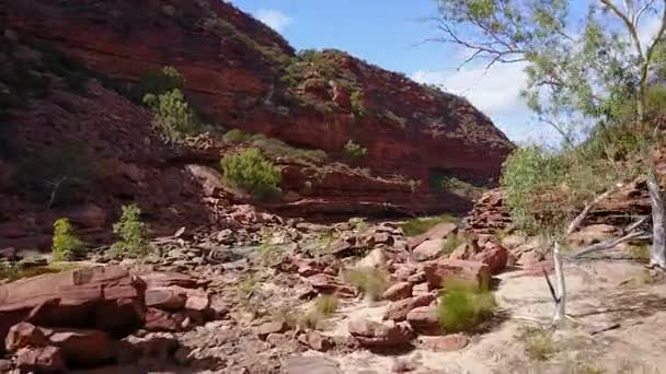 Αεροφωτογραφία Της Φαράγγι Και Ποταμός Στο Αυστραλιανό Outback — Αρχείο Βίντεο