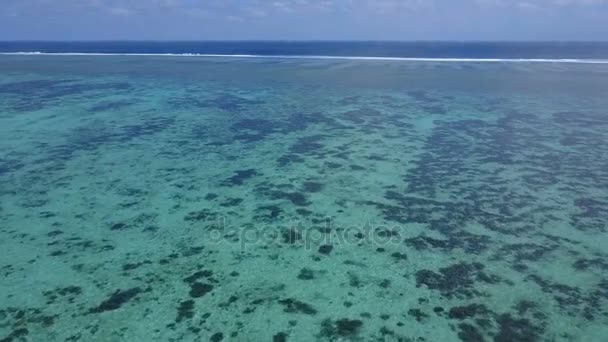 Flug Über Die Korallen Des Ningaloo Riffs Australien — Stockvideo