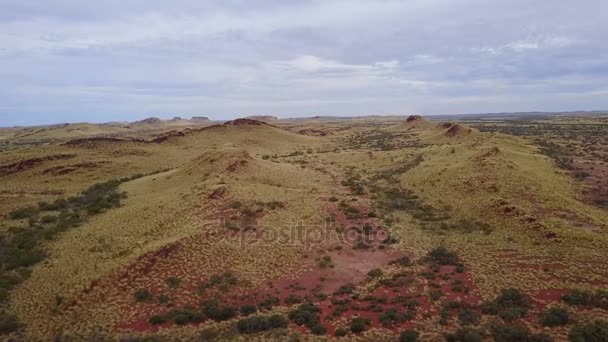 Vaste Paysage Depuis Vue Aérienne Sur Drone — Video