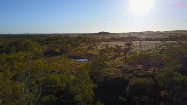 Windmill Outback Australia — Stock Video