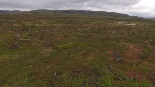 Floden Flyter Genom Tundra Vildmark — Stockvideo