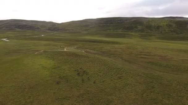 Stádo sobů průjezdem Tundra, pohledu ze letecký pohled na DRONY