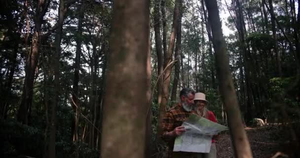 Casal caucasiano sênior verificando mapa na floresta de pinheiros — Vídeo de Stock