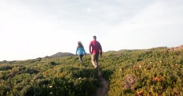 Vista trasera de pareja senderismo con perro en la colina — Vídeo de stock