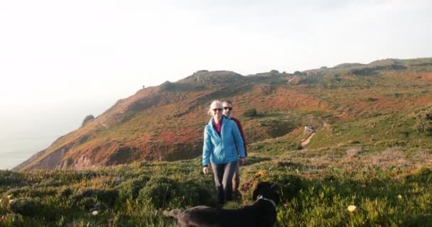 Couple caucasien sénior randonnée avec chien au sommet de la colline — Video