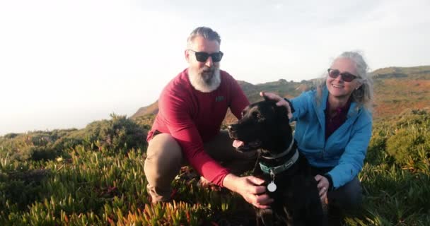 高山上一对老高加索夫妇爱抚狗的特写镜头 — 图库视频影像