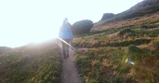 Achteraanzicht van senioren paar met hond wandelen op heuvel — Stockvideo
