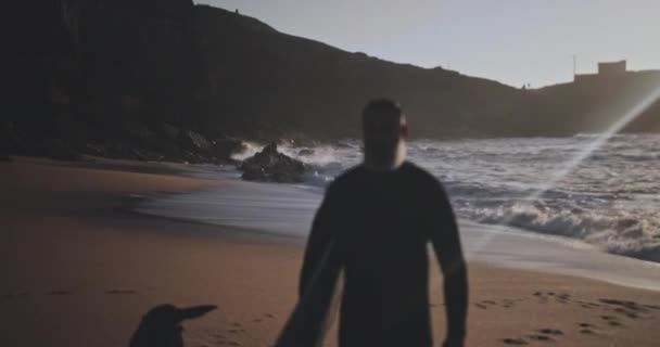Senior man met hond wandelen met surfplank op het strand — Stockvideo