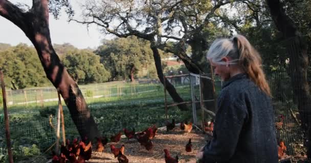 Close up seniores mulher alimentando galinhas na fazenda orgânica — Vídeo de Stock