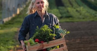 Organik çiftlikte sebze taşıyan son sınıf öğrencisi bir kadın.