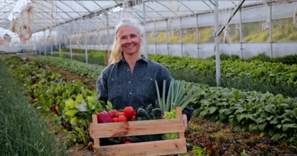 Primo piano donna anziana contenente scatola di verdure in serra biologica — Video Stock