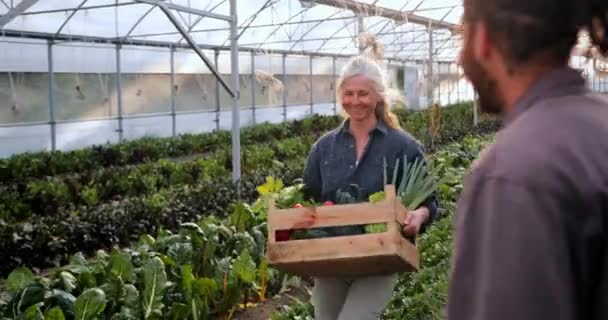 Senior vrouw plaatst doos met groenten in kruiwagen — Stockvideo