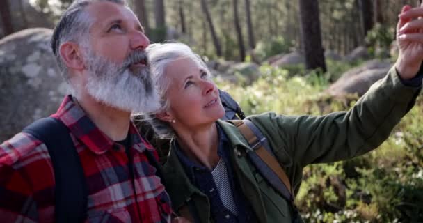Close up senior couple looking at the sky on forest — Stock Video
