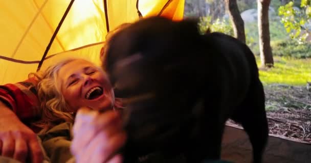 Close-up pasangan senior berbaring bersama dengan anjing di dalam tenda — Stok Video