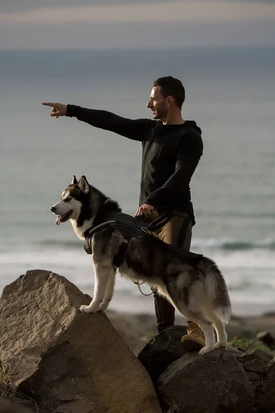 Homem com cão na costa mostrando vistas — Fotografia de Stock