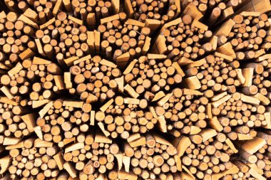 kütükler yığın halinde dizilmiş