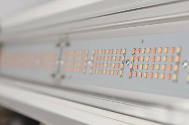 Tarım kullanımı için SMD Leds ve konnektörleri ile birleştirilmiş Pcb