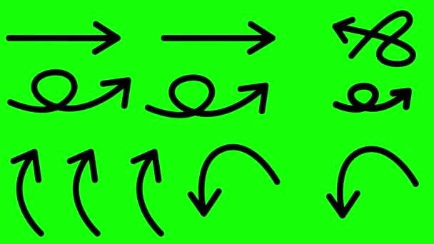 Pfeile auf einem grünen Bildschirmhintergrund. 11 schwarz animierte fließende Pfeile Elemente Chroma-Taste. — Stockvideo