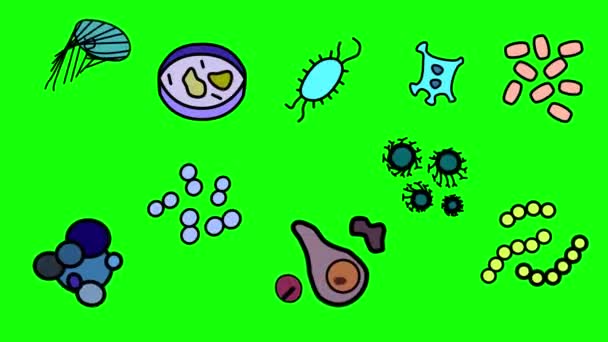 Animation du programme 2019 sur le coronavirus du NCOV SRAS. Fond vert. Virus des microbes dangereux — Video