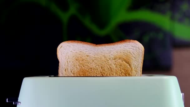 Spálený chleba v toustovači. Krásný chutný sendvič se snídaní. — Stock video