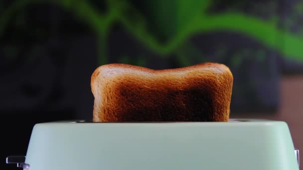 Pan quemado en una tostadora. Pan altamente tostado en una tostadora . — Vídeo de stock