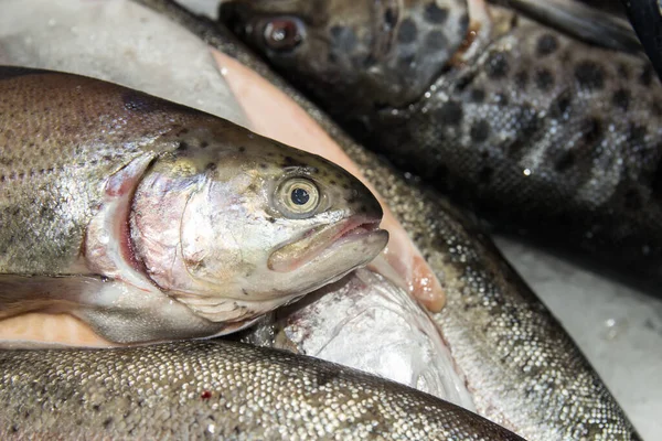 Крупним планом рибні голови на льоду на рибному ринку. Відкрити рот — стокове фото