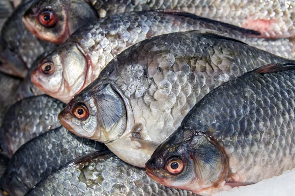 Крупним планом рибні голови на льоду на рибному ринку . — стокове фото