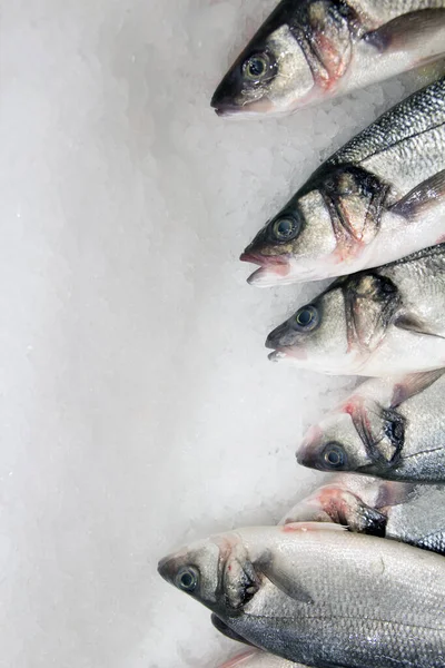 Крупним планом рибні голови на льоду на рибному ринку. Відкрити рот — стокове фото