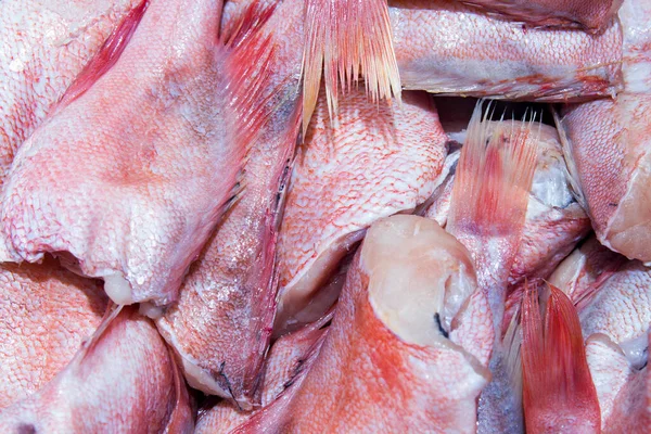 Крупним планом голови двох блискучих свіжих рубінових рибок на льоду на рибному ринку. Безголовий . — стокове фото