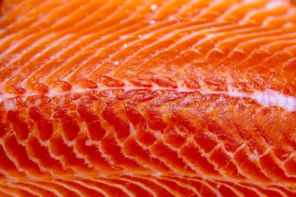 Fatia de salmão fresco no gelo — Fotografia de Stock