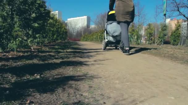 O tânără mamă cu un cărucior merge pe stradă. Conceptul de mamă — Videoclip de stoc