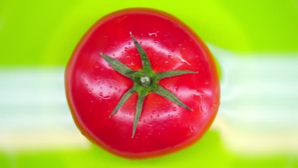 El tomate gira sobre un fondo verde. Vista superior. Primer plano. . — Vídeo de stock