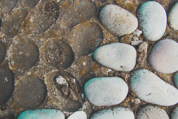 Pebbles on the pavement close-up — Stock Photo, Image