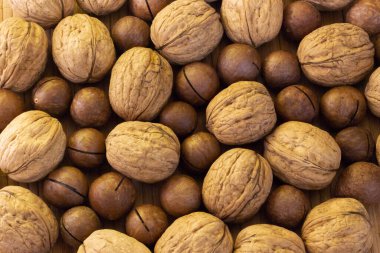 Çeşit çeşit ceviz - ceviz ve macadamia yakın plan.