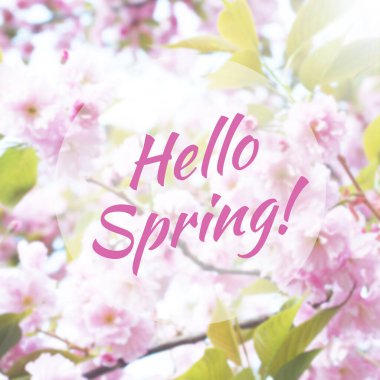 Merhaba Spring odaklı olmayan arkaplan