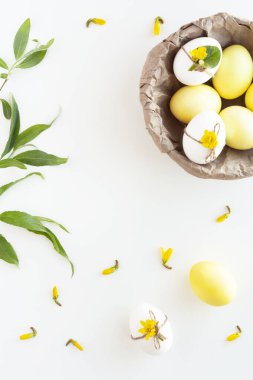 Beyaz arka planda boyanmış sarı ve beyaz paskalya yumurtaları, çiçekler ve yeşil yapraklarla süslü şık bir kompozisyon. Paskalya konsepti. Düz konum, üst görünüm, kopyalama alanı.