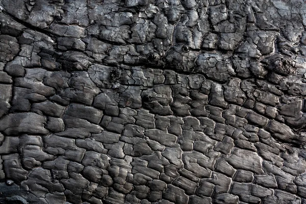 Burnt wood texture — Stock Photo, Image